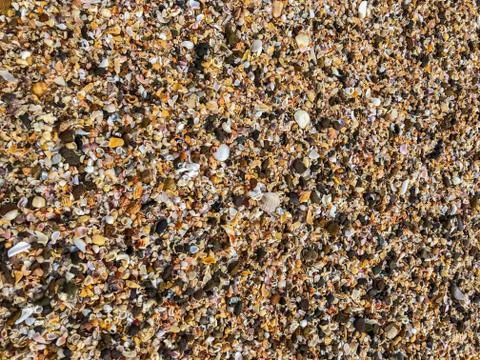 Beautiful shells in the beach making patterns Stock Photos