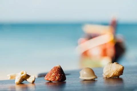 Beautiful shells lie on table on background blue sea. Shells mollusks and corals Stock Photos