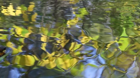 Beautiful shimmer of water and reflection of autumn trees in the river stream Stock Footage 117393976