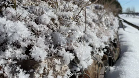 Beautiful shining snow close up Stockbeeldmateriaal 171798683