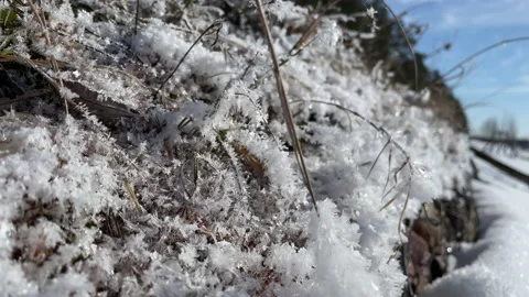Beautiful shining snow closeup Stockbeeldmateriaal 171798656