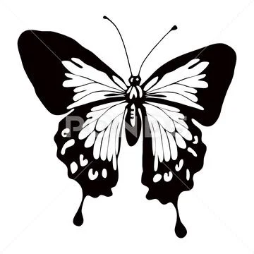 Beautiful shiny black butterfly icon isolated on a traspant background:  Royalty Free #139084234