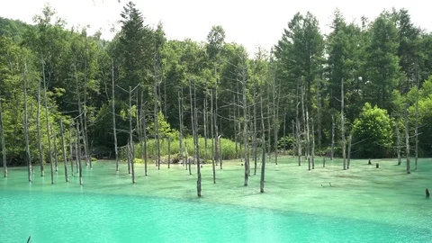 The beautiful Shirogane Blue Pond Stock Footage