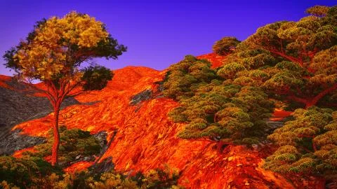 Beautiful shore 库存插图