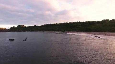 Beautiful shot of beachfront in Oregon Video stock 70592175