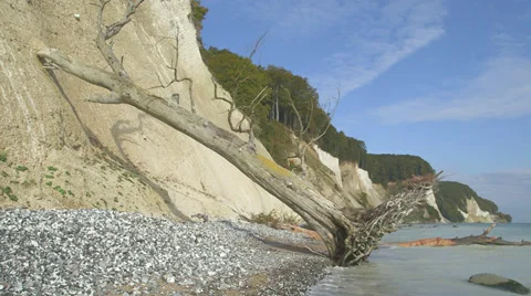Beautiful Shot Of Chalk Cliffs With Dead Tree Stock Footage 36646732