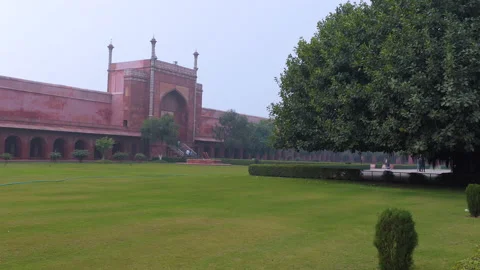 Beautiful shot of eastern gate of Taj Mahal with old and huge banyan tree Stock Footage 146162024