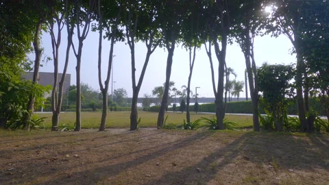 Beautiful shot of an empty garden with a bridge passing over the yamuna river Stock Footage 146033914
