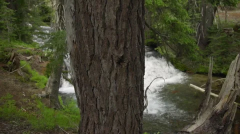 Beautiful shot of flowing river Stock Footage 59130750