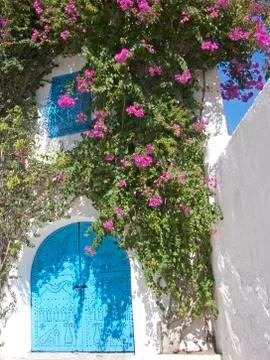 Beautiful shutter Tunis Фото