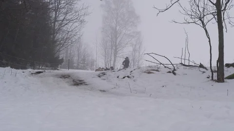 Beautiful Siberian Husky dogs in  winter landscape Stock Footage