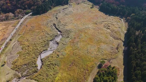 Beautiful Silver Grass Meadow Under Autumn Sky – Drone Footage Stock Footage 336974168