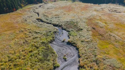 Beautiful Silver Grass Meadow Under Autumn Sky – Drone Footage Vídeos de archivo 336974424