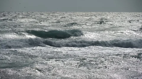 Beautiful silver waves at sea during a storm. Seagulls bustling over the waves Stock Footage 124782823