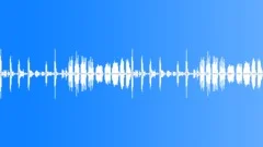 Beautiful Singing of Birds in the Forest - ambient, denoised loop 01Sound Effect
