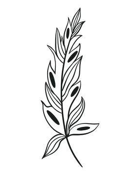 Beautiful single feather, isolated object. Stock Illustration