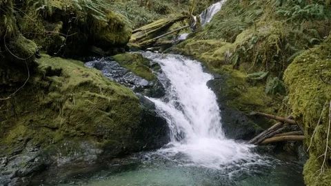 Beautiful siouxon creek waterfall old growth forest in pacific northwest Stock Footage 127390235