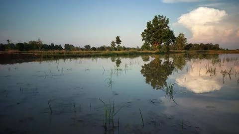 Beautiful sky and clouds reflected on calm water surface Stock Photos