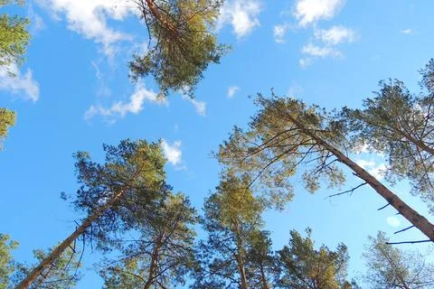 Beautiful sky, background Foto stock