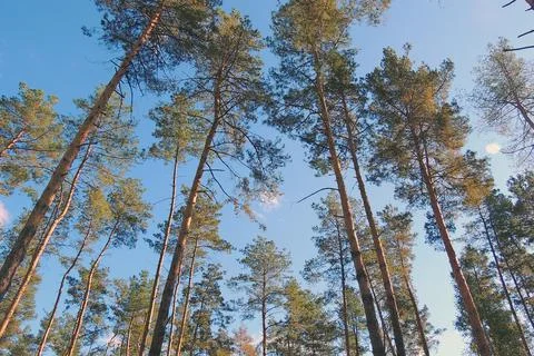 Beautiful sky, background Stock Photos