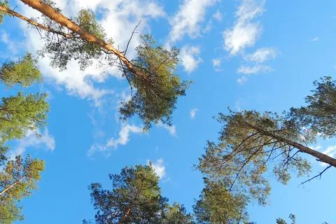 Beautiful sky, background Stock-Fotos