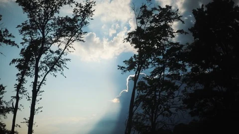 Beautiful sky with clouds frame moves forest woods sky nature ecology green Stock Footage 94240047