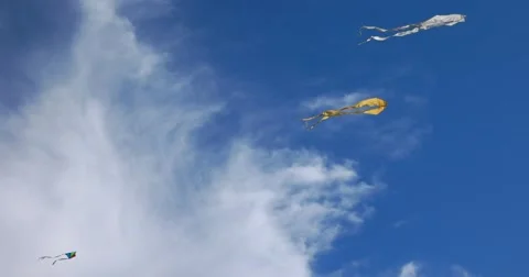 Beautiful sky with clouds, a pair of kites Stock Footage 66781912
