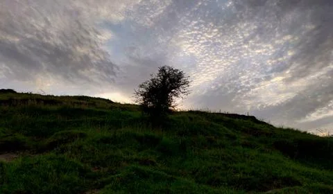 Beautiful sky with doted clouds pattern during sunset Stock Photos