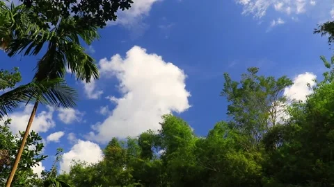 Beautiful Sky Stock Footage 210233186