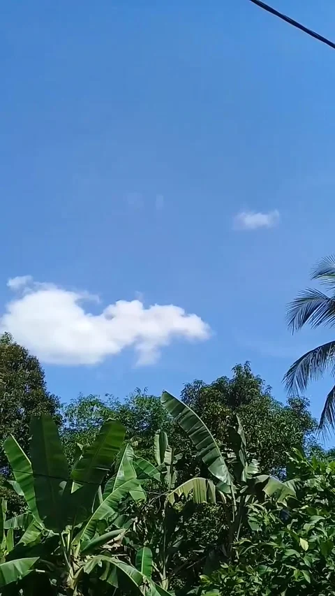 Beautiful sky Stock Footage 266763653