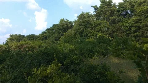 Beautiful sky Video stock 283345944