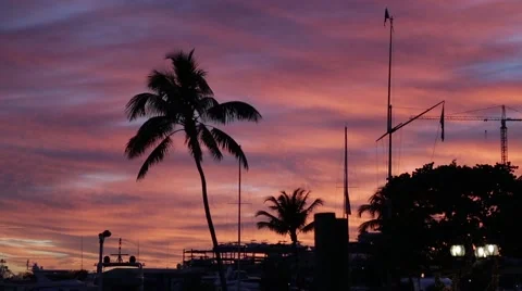 Beautiful sky in Miami Stock Footage 51498865