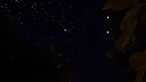 Beautiful sky at night with many lantern in chiang mai Stock Footage 100359774