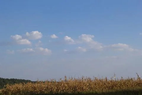 Beautiful sky Stock Photos