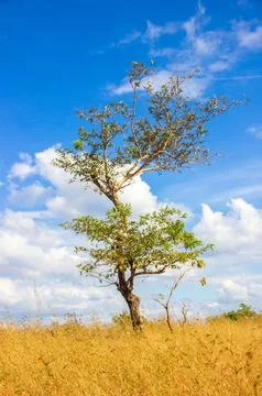 Beautiful sky 스톡 사진