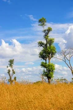 Beautiful sky 写真素材