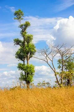 Beautiful sky 写真素材