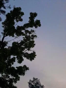 Beautiful sky Stock Photos