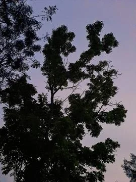 Beautiful sky Stock Photos