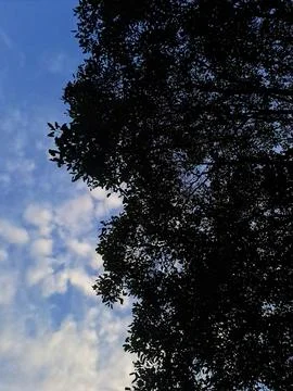 Beautiful sky Stock Photos