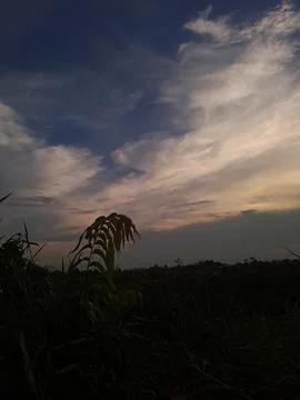 Beautiful sky Stock Photos