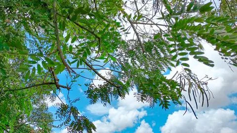 Beautiful Sky 스톡 사진