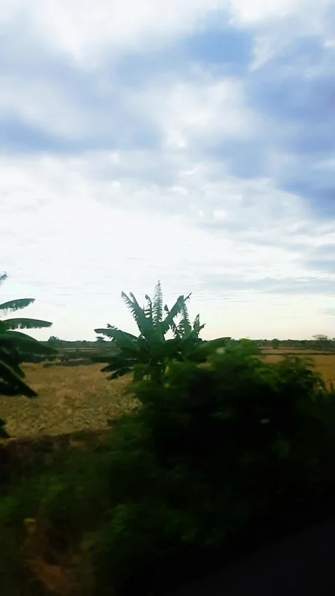 A beautiful sky seeing from inside train Stock Footage 321919414