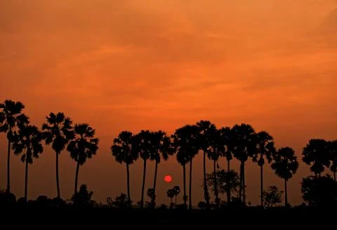 Beautiful sky at sunset Stock Photos