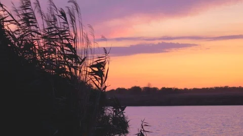 Beautiful sky at sunset on the river Stock Footage 116130017