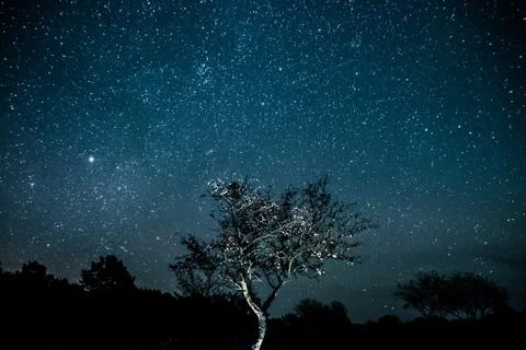 A beautiful sky with a tree Stock Photos
