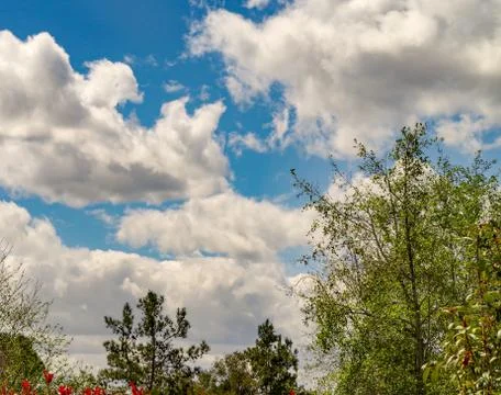 Beautiful Sky View After A Spring Rain Stock Photos