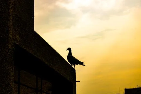 Beautiful Sky View  Stock Photos