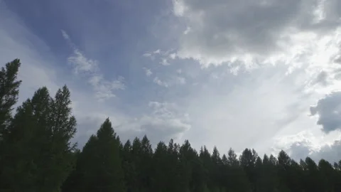 Beautiful sky woods 스톡 동영상 133881950