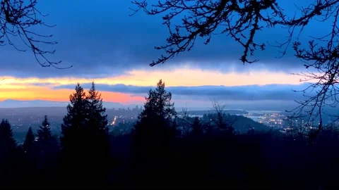 Beautiful Skyline Sunset with Trees on the Front and the City on the Background. Stock Footage 145853123